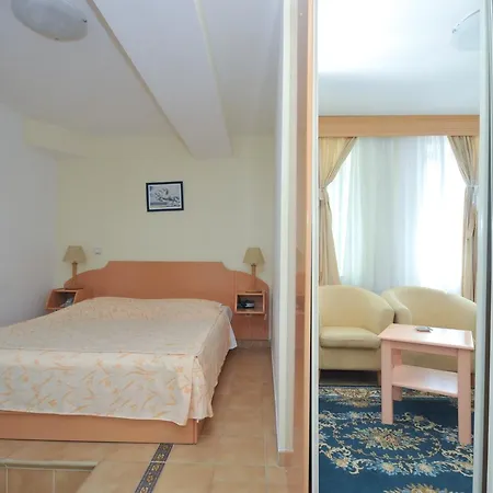Hotel Sajo 4*